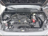Toyota Rav4 Xle JTMW1RFVXKD035624 снимка