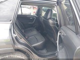 Toyota Rav4 Xle JTMW1RFVXKD035624 снимка