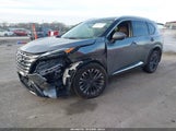 Nissan Rogue Platinum Intelligent Awd JN8BT3DD1RW452679 photo