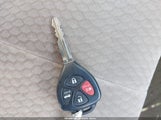 Miniaturka zdjęcia 11