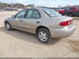 Chevrolet Cavalier 1G1JC52F337124133 fotografie