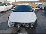 Miniaturka zdjęcia 6