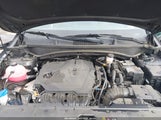 Miniaturka zdjęcia 10