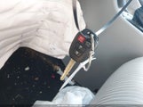 Miniaturka zdjęcia 11
