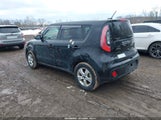 Miniaturka zdjęcia 3