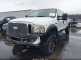 Miniaturka zdjęcia 2