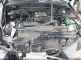 Toyota Tundra Sr5 V8 5TBBT44103S436691 fotografie