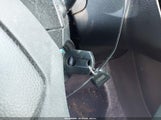 Miniaturka zdjęcia 11