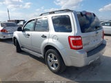 Ford Escape Xlt 1FMCU0DG7AKC07771 снимка