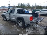 Dodge Dakota Laramie 1D3HW58P19S809841 photo
