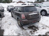 Miniaturka zdjęcia 3