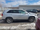Image 14