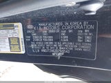 Miniaturka zdjęcia 9