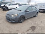 Toyota Corolla Le 2T1BURHE8EC181251 снимка