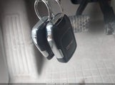 Miniaturka zdjęcia 11