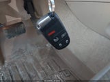 Miniaturka zdjęcia 11