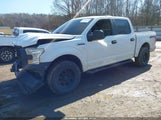 Miniaturka zdjęcia 2