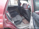 Miniaturka zdjęcia 8