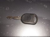 Miniaturka zdjęcia 11