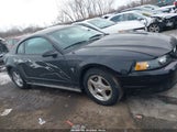 Ford Mustang 1FAFP40433F443167 fotografie