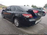 Toyota Camry L/Le/Xle/Se/Xse 4T1B11HKXKU267686 fotografie