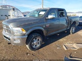 Ram Ram  Laramie 3D7UT2CL9BG520857 fotografie