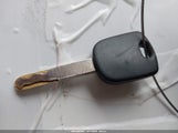 Miniaturka zdjęcia 11