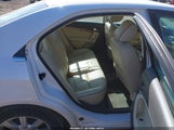 Miniaturka zdjęcia 8