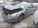 Nissan Maxima 3.5 Se 1N4BA41E17C809237 fotografie