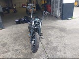 Harley-Davidson Flhx 1HD1KB720SB642144 снимка