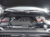 GMC Sierra  , Short Bed, Elevation, Rwd 1GTPHCEK5TZ245783 снимка