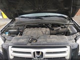Honda Pilot Ex-L 2HKYF18546H558260 снимка
