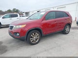 Kia Sorento Ex V6 5XYKUDA21BG055896 снимка
