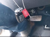 Miniaturka zdjęcia 11