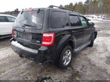 Ford Escape Xlt 1FMCU9DG6BKC15656 fotografie
