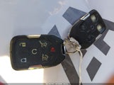 Miniaturka zdjęcia 11