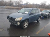 Toyota Rav4 JTMBD33V686060802 fotografie