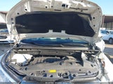 Miniaturka zdjęcia 10