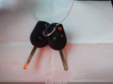 Miniaturka zdjęcia 11