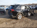 Toyota Rav4 Xle JTMP1RFV3KD014280 снимка
