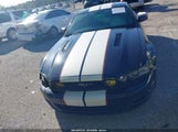 Ford Mustang Gt Premium 1ZVBP8CF2E5202834 снимка