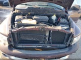 Miniaturka zdjęcia 10
