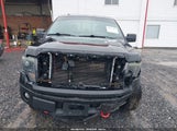 Ford F-150 Fx4 1FTFW1EF2DFB12250 снимка