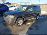 Ford Escape Xlt/Xlt Sport 1FMYU03127KC04966 снимка