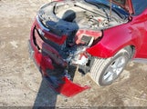 Miniaturka zdjęcia 6