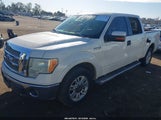 Ford F-150 King Ranch/Lariat/Platinum/Xl/Xlt 1FTPW12V39KC06894 photo