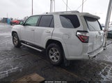 Miniaturka zdjęcia 3