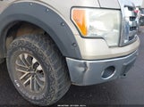 Ford F-150 Fx4/Harley-Davidson/King Ranch/Lariat/Platinum/Xl/Xlt 1FTFW1EV5AFA73043 снимка