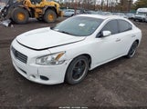 Nissan Maxima 3.5 Sv 1N4AA5APXAC819355 снимка