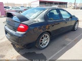Dodge Srt4 1B3ES66S13D202100 fotografie